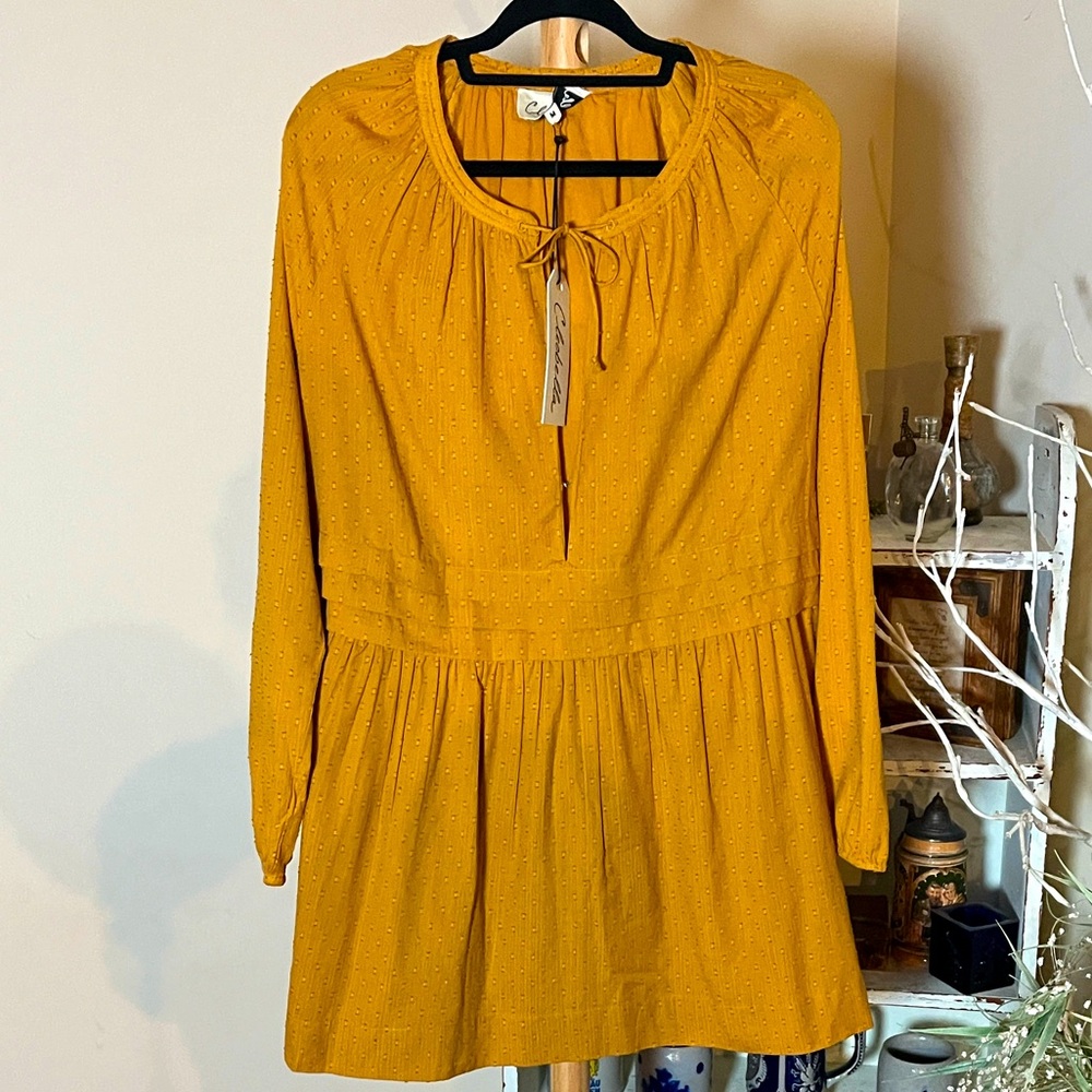 NWTCleobella M Golden Long Sleeve Dress/Tunic.Deep Vneck w/ties and hook and eye
